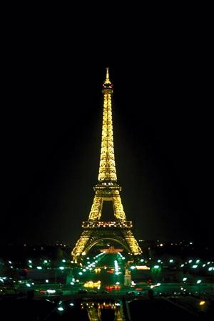 長野県白馬村の大自然が贅沢なスキー場