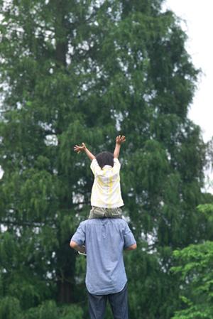 チョコレートヒルにも行ける観光ツアー