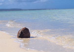 大きなホールが魅力あるヒメカンパチンコ富田林店