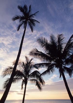 【公式】東横INN彦根駅東口｜滋賀県彦根市の快適なビジネスホテルと観光拠点