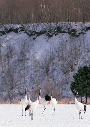 京都観光タクシーは格安料金を目指します