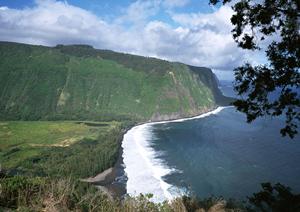 東京のビジネスホテルを searched で見つける：東横INN日本橋税務署前の魅力と詳細情報