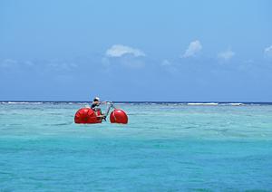 東横INN盛岡駅前の魅力と便利な情報：快適なビジネス・観光滞在をサポート