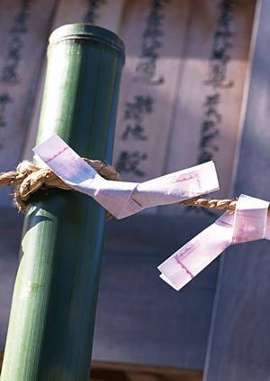 住友不動産ヴィラフォンテーヌ羽田空港直結の魅力と詳細情報｜空港アクセス抜群の快適ホテル