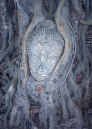 【公式】東横INN新大阪中央口新館の魅力と詳細情報｜快適なビジネス・観光滞在をサポート