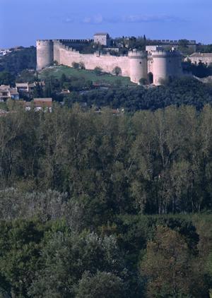 種子島の観光にはレンタカーが最適です