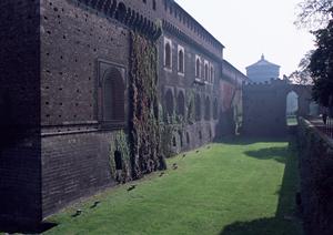 オプショナルツアーで楽しめるハワイ旅行