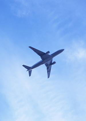 東京湾を舞台にした贅沢な屋形船クルーズ