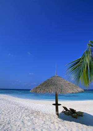 静岡市の日本料理四季｜伝統と旬の彩りが織りなす絶品和食体験