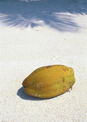 ハワイの自然を満喫できる現地ツアー