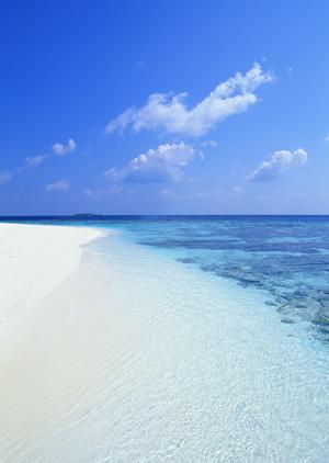 気軽に利用できる新宿のデパート