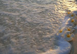 阪急上新庄駅近辺でお勧めのスロット店です。