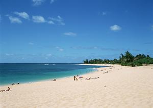 羽田空港アクセス抜群！東横イン羽田空港1の詳細と魅力を徹底解説