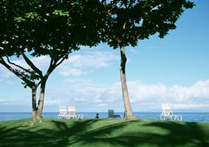 【公式】東横INN大阪通天閣前｜大阪市中心部の格安ビジネスホテル、観光に最適な宿泊施設