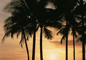 福岡・博多駅徒歩7分【東横INN博多駅前祇園】の魅力と詳細ガイド