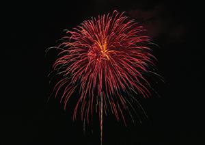 自転車保険への加入を検討するなら